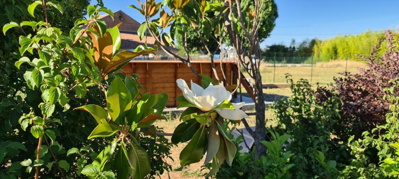 Mas Gabelys Superbe Vue Sainte Victoire Jardin Terrasse Et Piscine Apartamento Trets Exterior foto